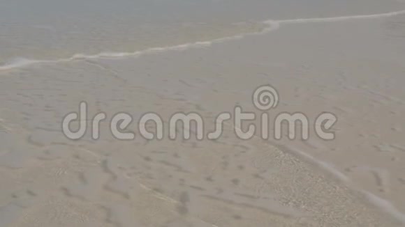 在热带沙滩上的女性腿视频的预览图