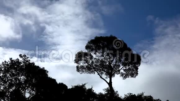 在晴朗的日子里美丽的白色蓬松的移动云在蓝天上白天户外宁静自然背景视频的预览图