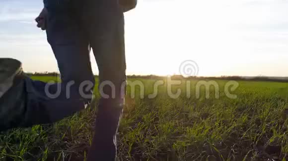 一个穿着白色衣服的快乐男孩跑过绿色的田野走向太阳视频的预览图
