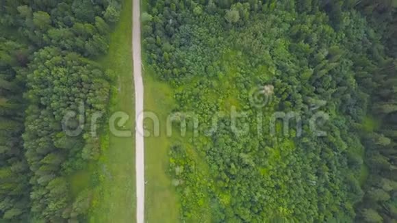 绿色森林乡村道路俯视图剪辑农村绿色森林林荫道之间的乡村道路视频的预览图
