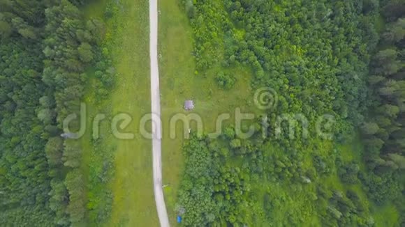 绿色森林乡村道路俯视图剪辑农村绿色森林林荫道之间的乡村道路视频的预览图