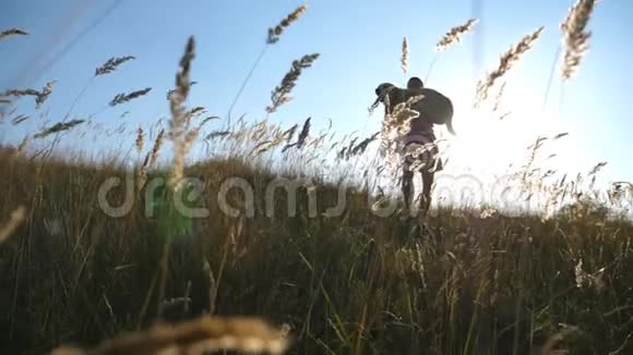 年轻人把他的狗背在田野上在大自然中与拉布拉多或金毛猎犬玩耍爱情和友谊视频的预览图