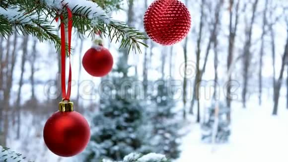 在外面覆盖着白雪的松树枝上悬挂着的圣诞彩宝贝球视频的预览图