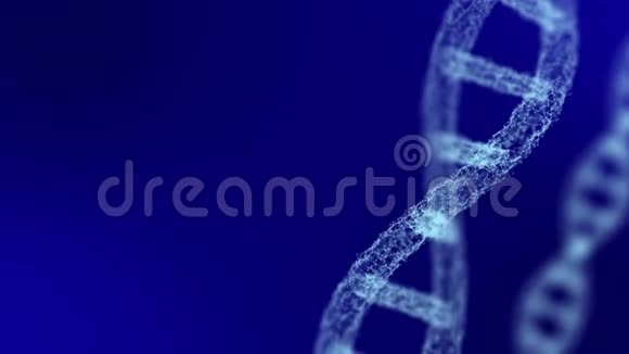 蓝色背景下的人类DNA神经丛风格的DNA模型的旋转视频的预览图