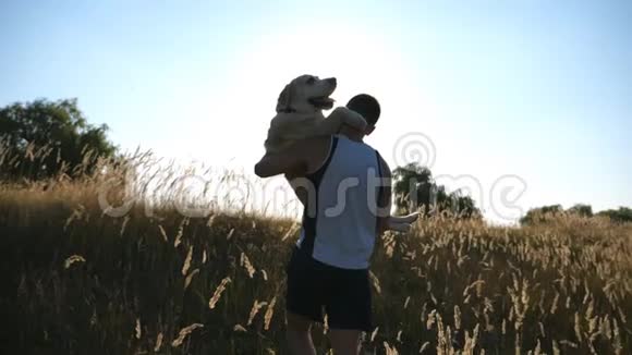 年轻人把他的狗背在田野上在大自然中与拉布拉多或金毛猎犬玩耍爱情和友谊视频的预览图