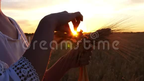 日落时分女孩在田野里抱着一束麦穗视频的预览图