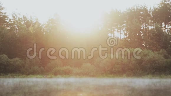 雾飘过水面湖面森林里美丽的早晨景观阳光灿烂视频的预览图