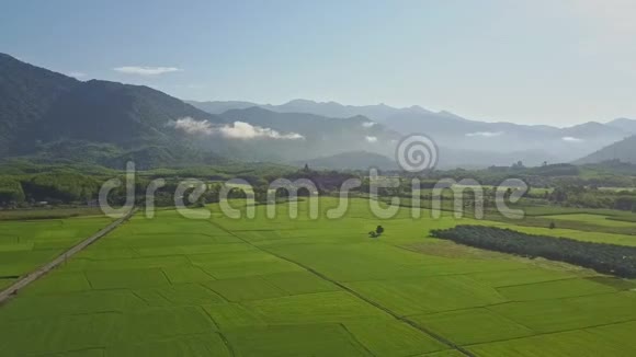 鸟瞰群山间植物无边的稻田视频的预览图