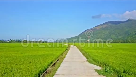 以长道对抗天空的稻田空中景观视频的预览图