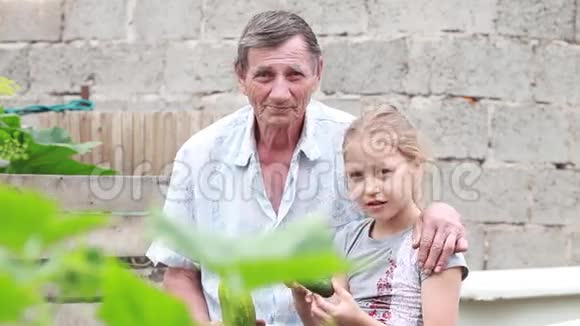 这个女孩和一个年长的养老金领取者坐在花园的花园里拥抱着发电视频的预览图