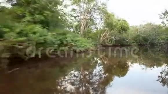 沿着河流航行视频的预览图