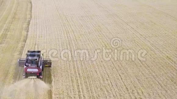 收割机收割麦田工作联合收割机农业机器收割黄金熟小麦视频的预览图