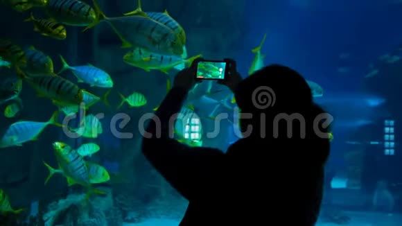 一个女人在海洋馆拍摄鱼的视频视频的预览图