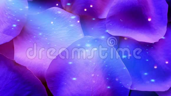 紫色玫瑰花瓣背景视频的预览图