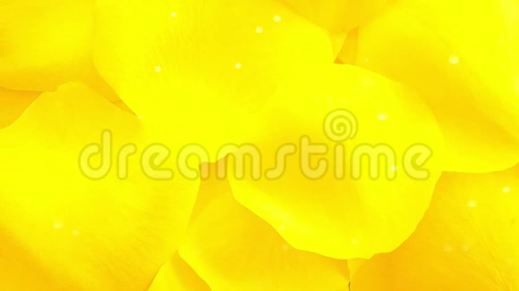 黄色玫瑰花瓣背景视频的预览图