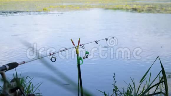 夏日湖上钓竿专业钓竿等待水河上的叮咬视频的预览图