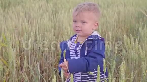 阳光明媚的一天快乐的小男孩站在小麦的田野上小农场主的概念视频的预览图