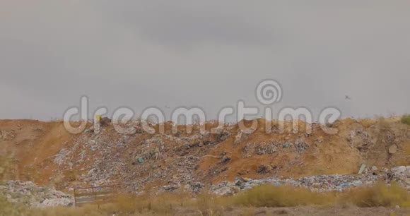 垃圾填埋对自然的污染垃圾填埋场上空的海鸥视频的预览图