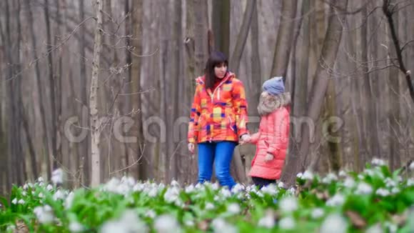 母亲和女儿正在阳光明媚的阳光下穿过满是雪花的春天森林视频的预览图