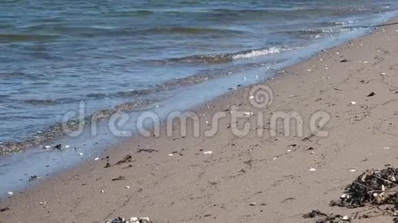 到达沙滩的波浪视频的预览图