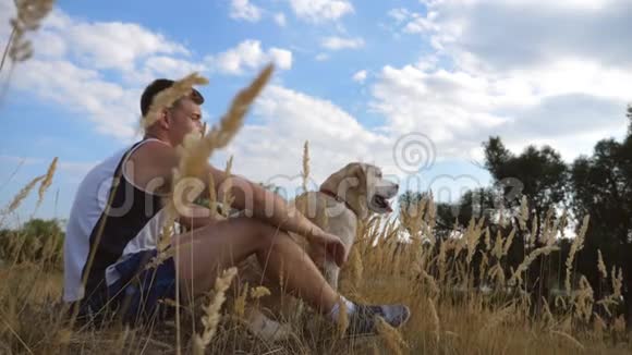 年轻人坐在草地上抚摸着他的狗男主人和他的拉布拉多或视频的预览图