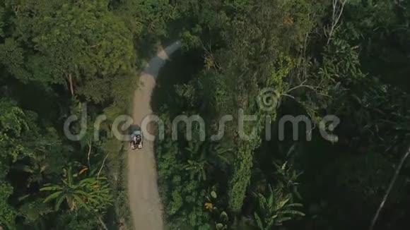 泰国棕榈丛林旅行车suv无人机夏季自然飞行视频的预览图