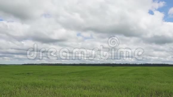 在夏日阳光明媚的日子里相机沿着一片绿草如茵的田野和白色积云的天空移动视频的预览图