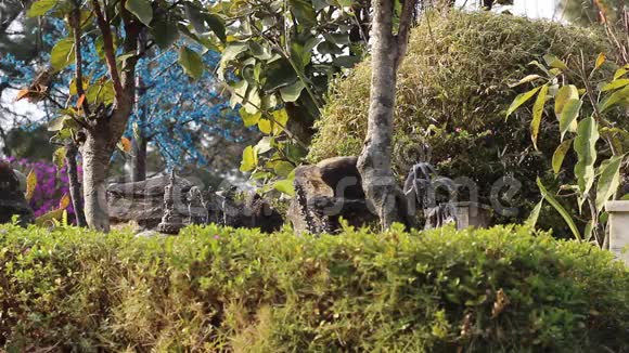 花园里的雕像视频的预览图