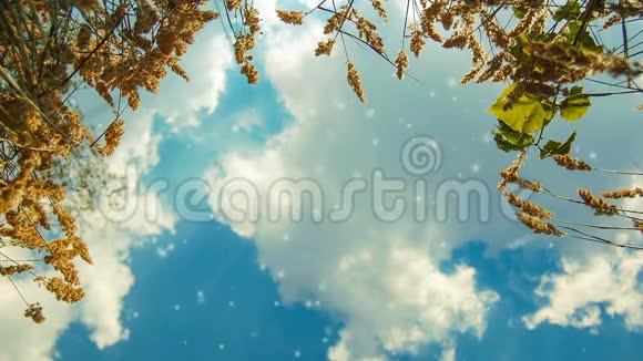蓝天白云躺在草地上视频的预览图