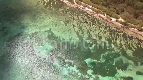 加勒比海瓜德罗普格兰德泰尔路易港泻湖安斯杜索夫勒鸟瞰图视频的预览图
