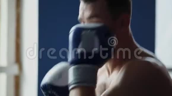 持有一个职业拳击手影子拳击戴拳击手套衬衫脱近距离垂直摄像机的移动视频的预览图