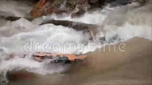 河中央岩石的景色视频的预览图