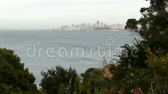 快速运动旧金山穿过树木从马林穿过海湾视频的预览图