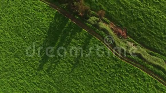 葡萄牙亚速尔绿色农田的空中景观视频的预览图