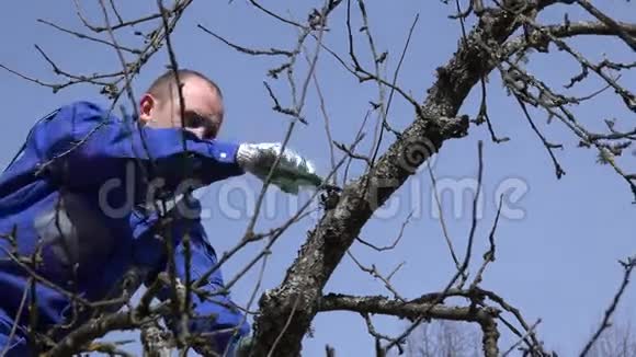 年轻人在蓝天背景上修剪苹果树枝4K视频的预览图