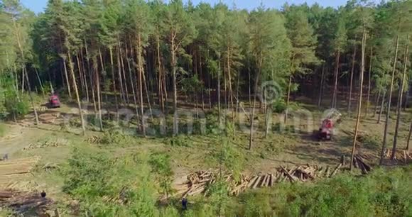 砍伐森林破坏环境破坏生态视频的预览图