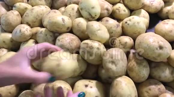 生农场有机薯上市亚洲女人手选土豆视频的预览图