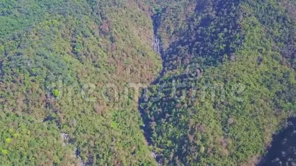 Flycam与高地峡谷慢慢接近丛林视频的预览图