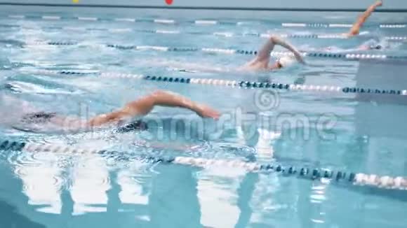 游泳池慢泳比赛或训练视频的预览图