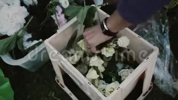 女性手的近景从盒子里拿出鲜花制作花束女人做装饰品视频的预览图