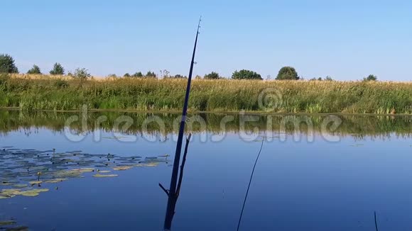 用大自然的声音捕鱼视频的预览图