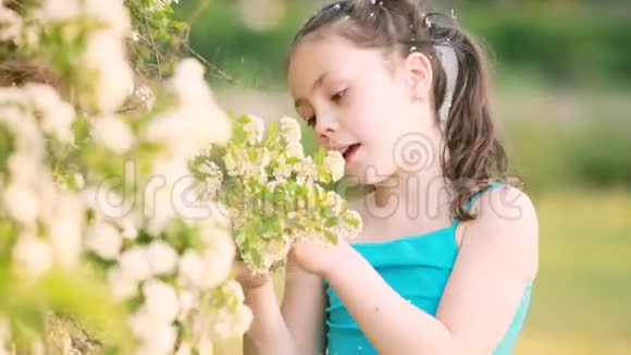 小女孩的特写在夏天的草地上享受着花香视频的预览图