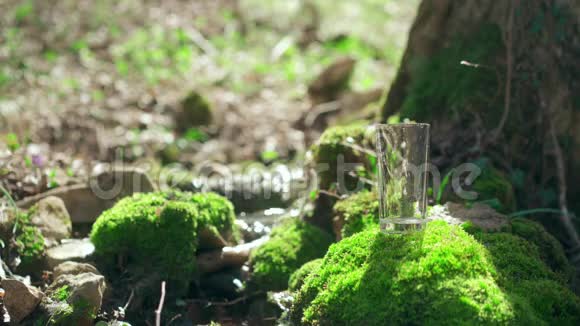 水倒进了玻璃站在树下长满苔藓的岩石上弹簧流在软关注背景纯生态视频的预览图