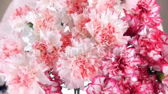 特写从上面看花花束旋转花的组成由淡粉色土耳其语构成视频的预览图