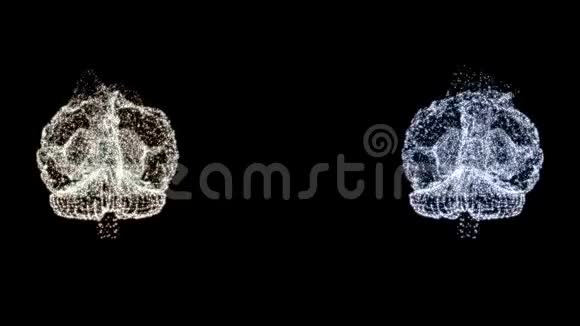 两个被检查的抽象大脑模型的4k视频在空间中旋转视频的预览图