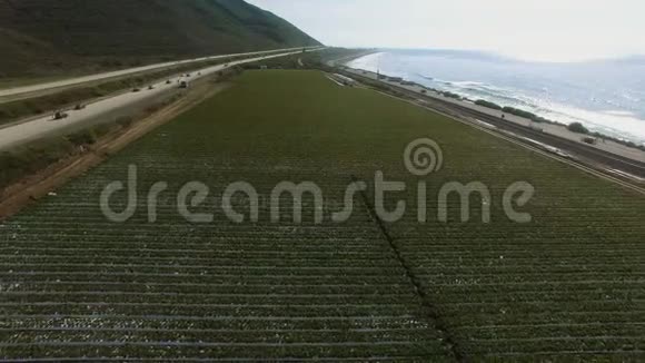 直升机飞越高速公路和太平洋海岸附近的玉米地视频的预览图