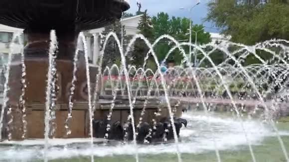 市中心的夏日喷泉视频的预览图