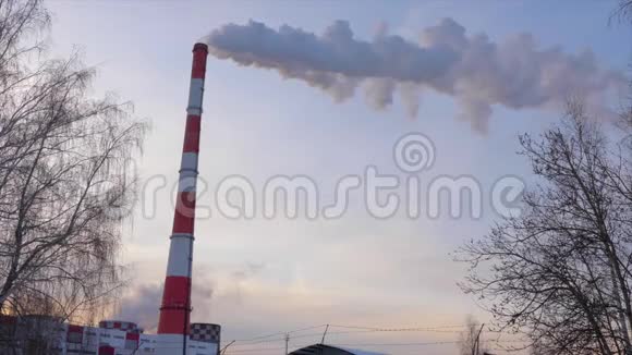 背景天空和裸树上的热电站的工业烟管视频的预览图