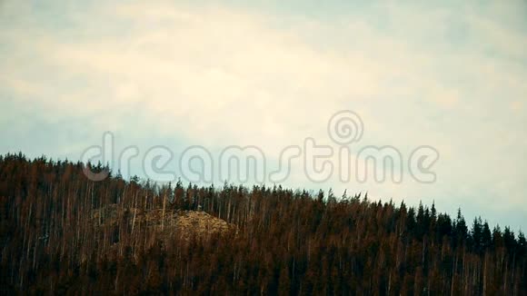 白色积云在高山杉树上快速移动视频的预览图