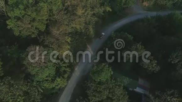 泰国棕榈丛林旅行车suv无人机夏季自然飞行视频的预览图